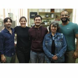 Grupo de Investigación en Nanotecnología, Polímeros y Sustentabilidad (GINaPs).